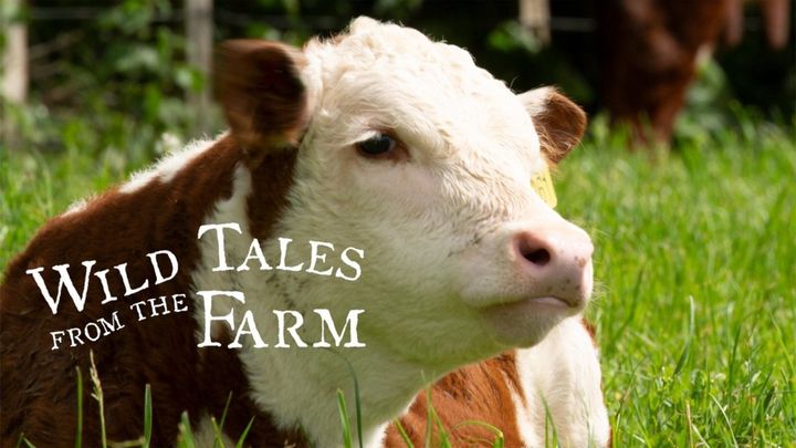 Serie Tv - Wild Tales from the Farm