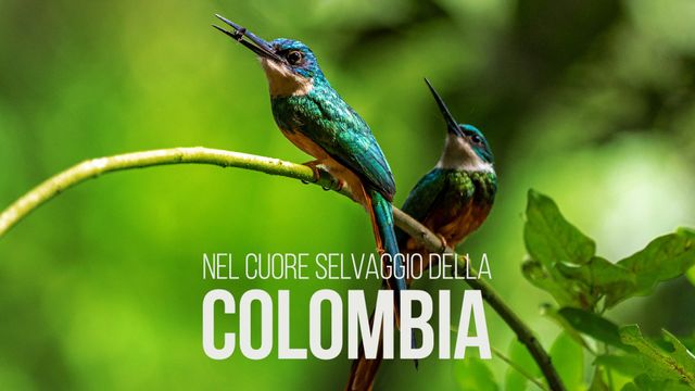 Nel cuore selvaggio della Colombia